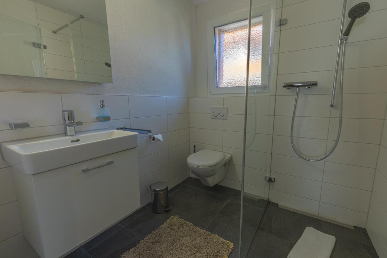 Harder Apartment - Aare Jungfrau Ag Wilderswil Εξωτερικό φωτογραφία